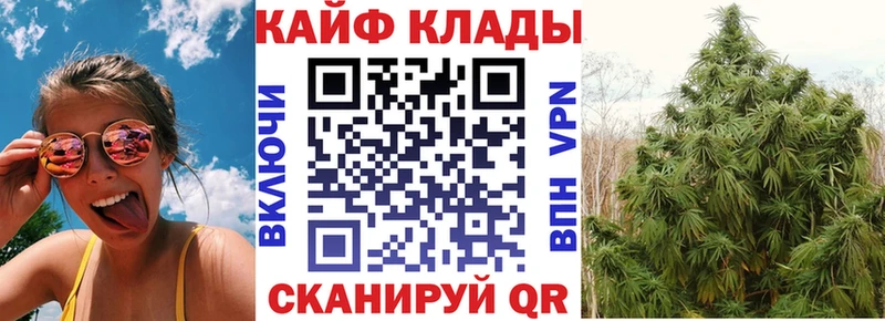 Конопля Черноголовка