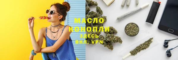 крисы Кулебаки
