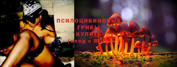 прущие грибы Куйбышев