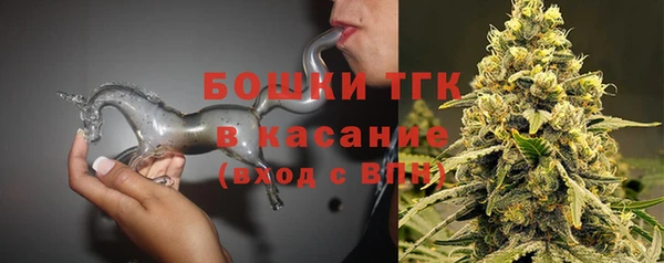 стафф Новозыбков